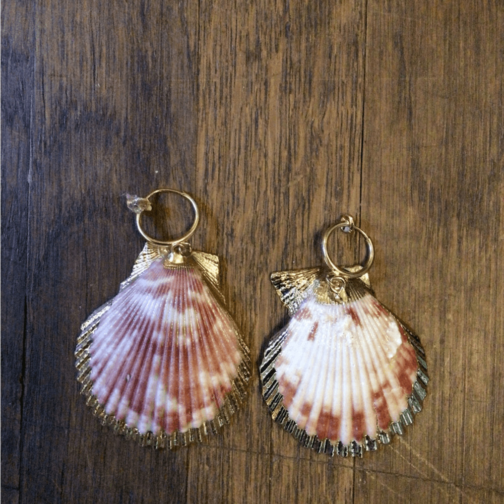 NEW! Petit Moments Seashell earrings